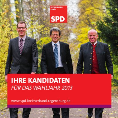 Flyer zur Wahl 2013 - 3 Mb bei Download